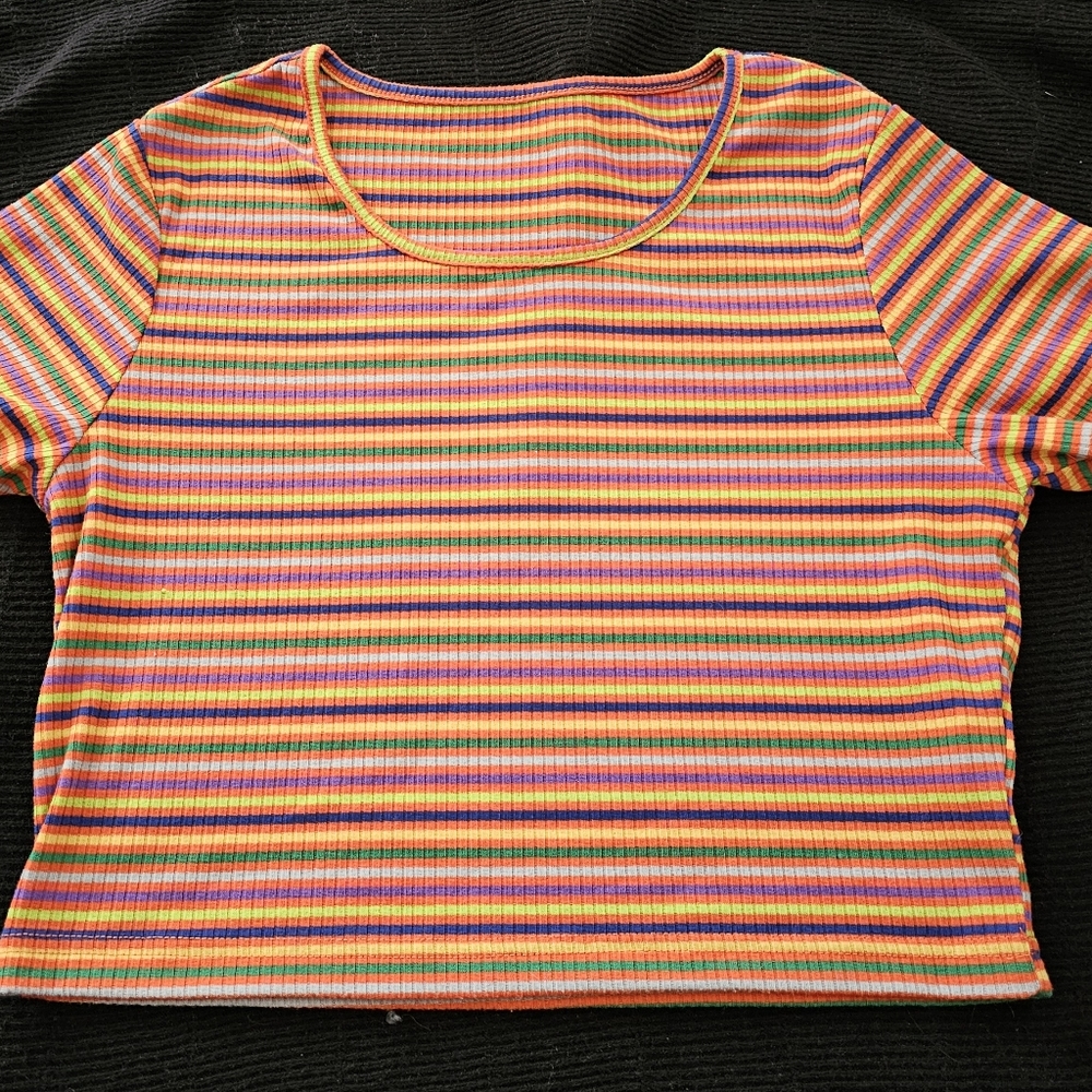 Dazy multi colored short t croptop